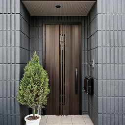house entrance with plant on the left of the photo
